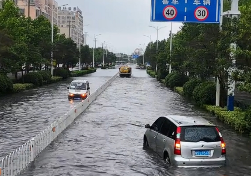 1737709510269774.png 1737709510269774.png